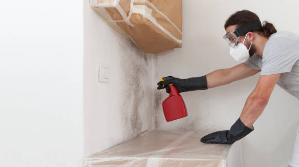 Professional Crawl Space Mold Remediation technician working in Newport, OR
