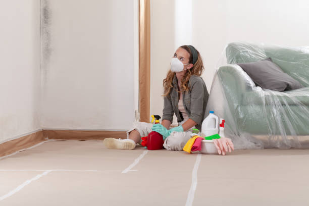 Reliable Crawl Space Mold Remediation contractor in Newport, OR by Mold Remediation HQ